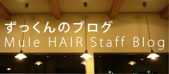 Mule HAIR ��������̃u���O �X�^�b�t�u���O